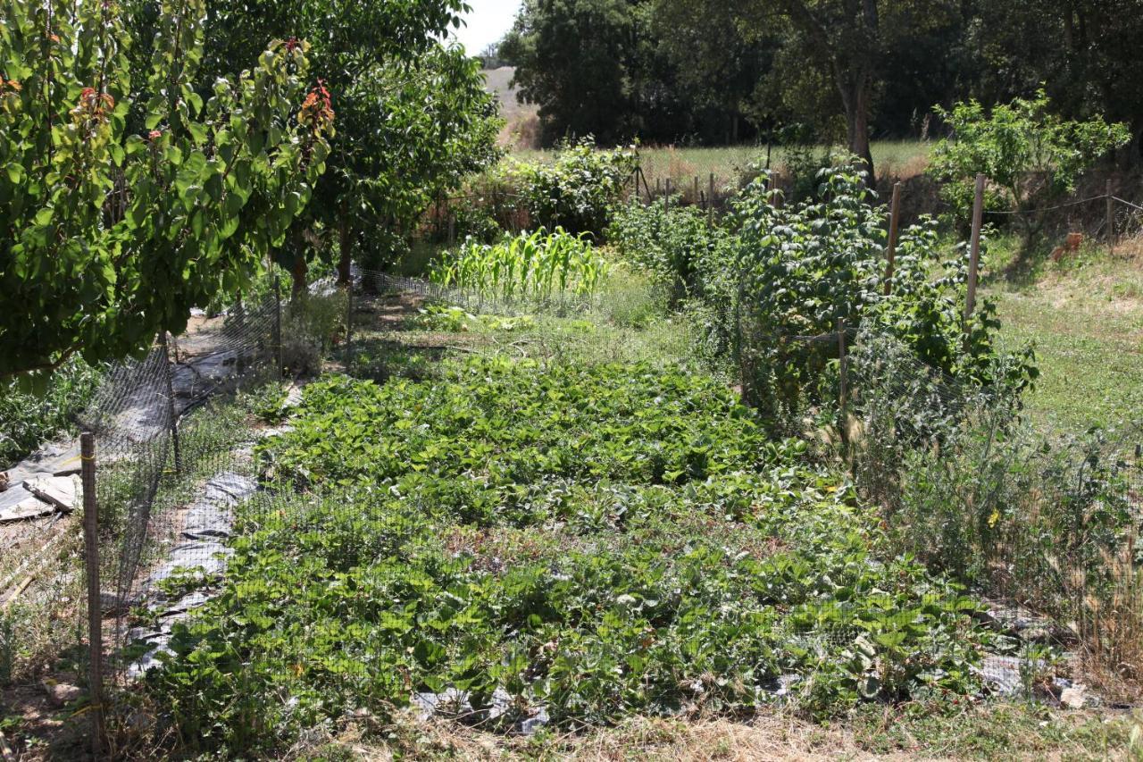 Can Cabanyes Llagostera Exteriör bild